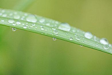 《吸血鬼幸存者》确定联动《浪漫沙加2》 大量新英雄内容